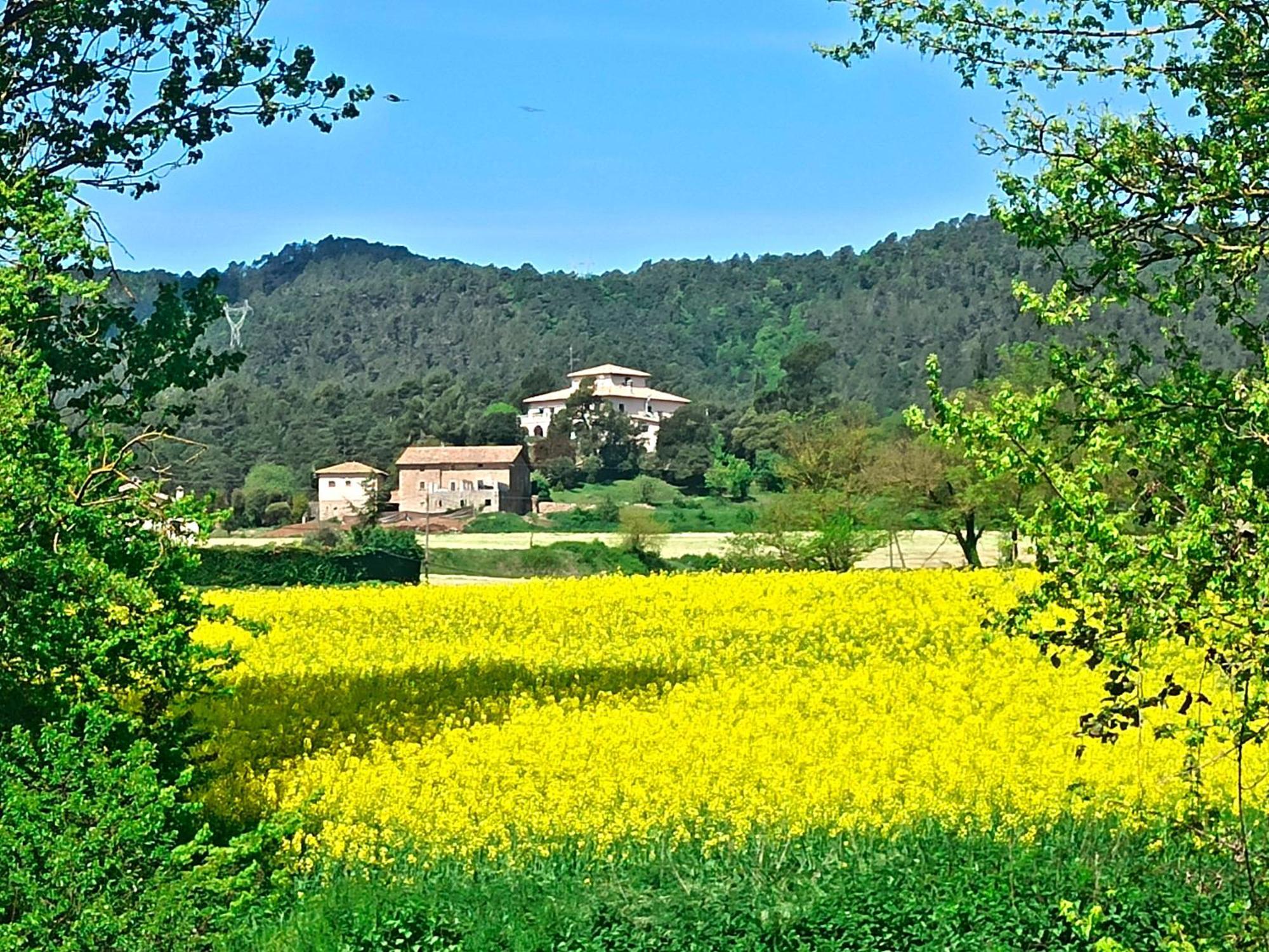 La Torre Del Vilar Santa Eulalia de Ríuprimer Εξωτερικό φωτογραφία